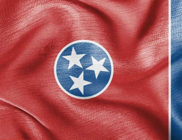 The State Laws of Tennessee