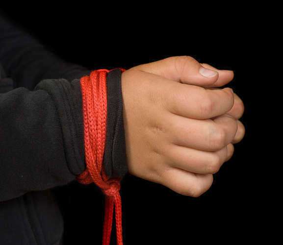 Fugitive Slave Laws